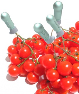 植物說，我們也要喝飲料!